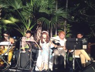 ภาพ งานแต่งงาน สยามสมาคมในพระบรมราชูปถัมภ์